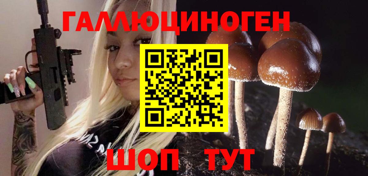 Галлюциногенные грибы ЛСД  Галлюциногенные грибы Psilocybine cubensis  Вход с VPN  Приморско-Ахтарск 